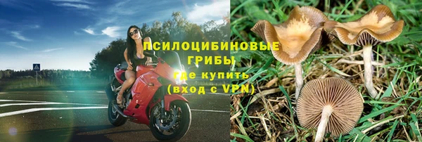 стаф Верхний Тагил